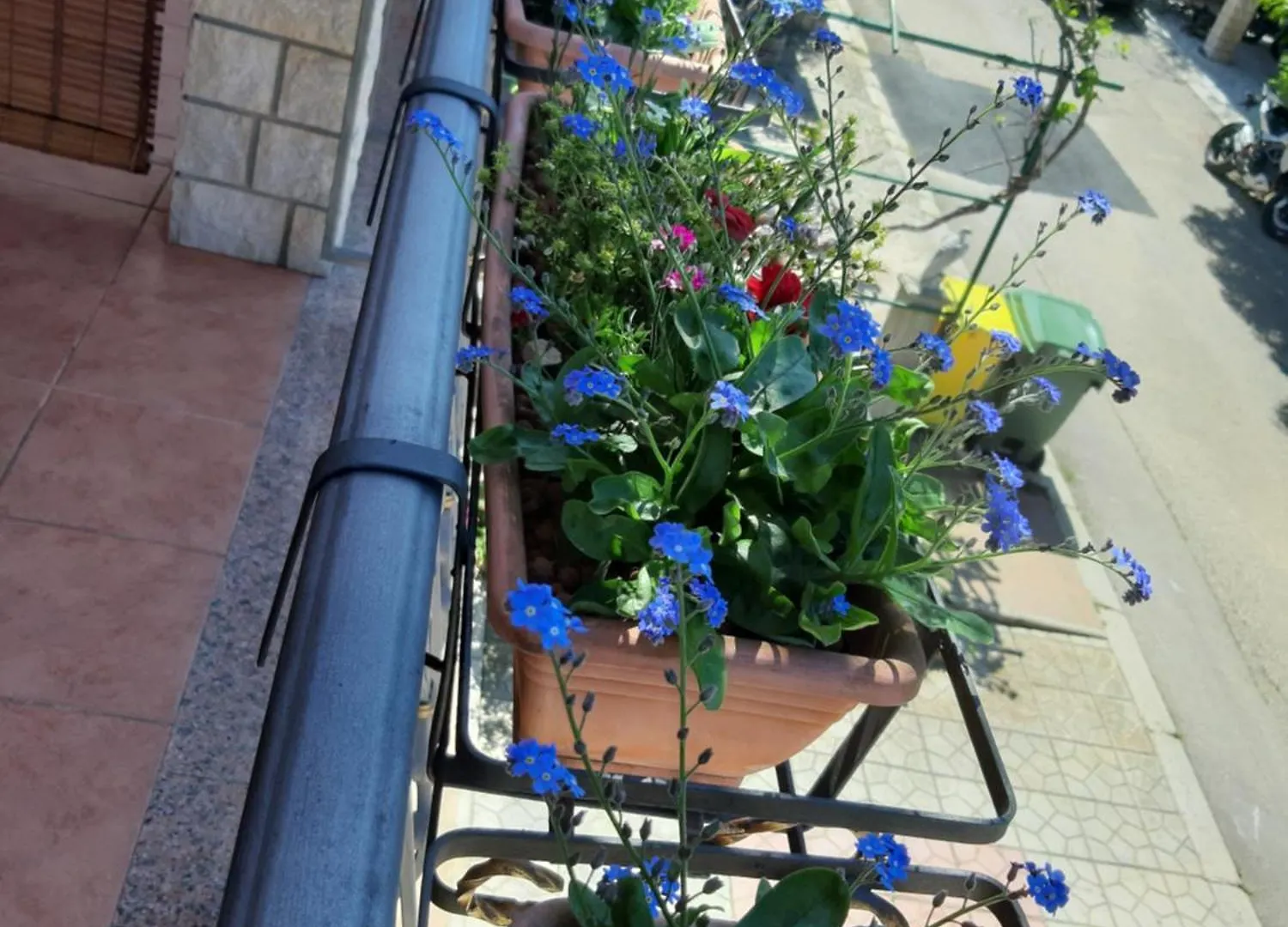 Adria Vrsar Apartment Croatia