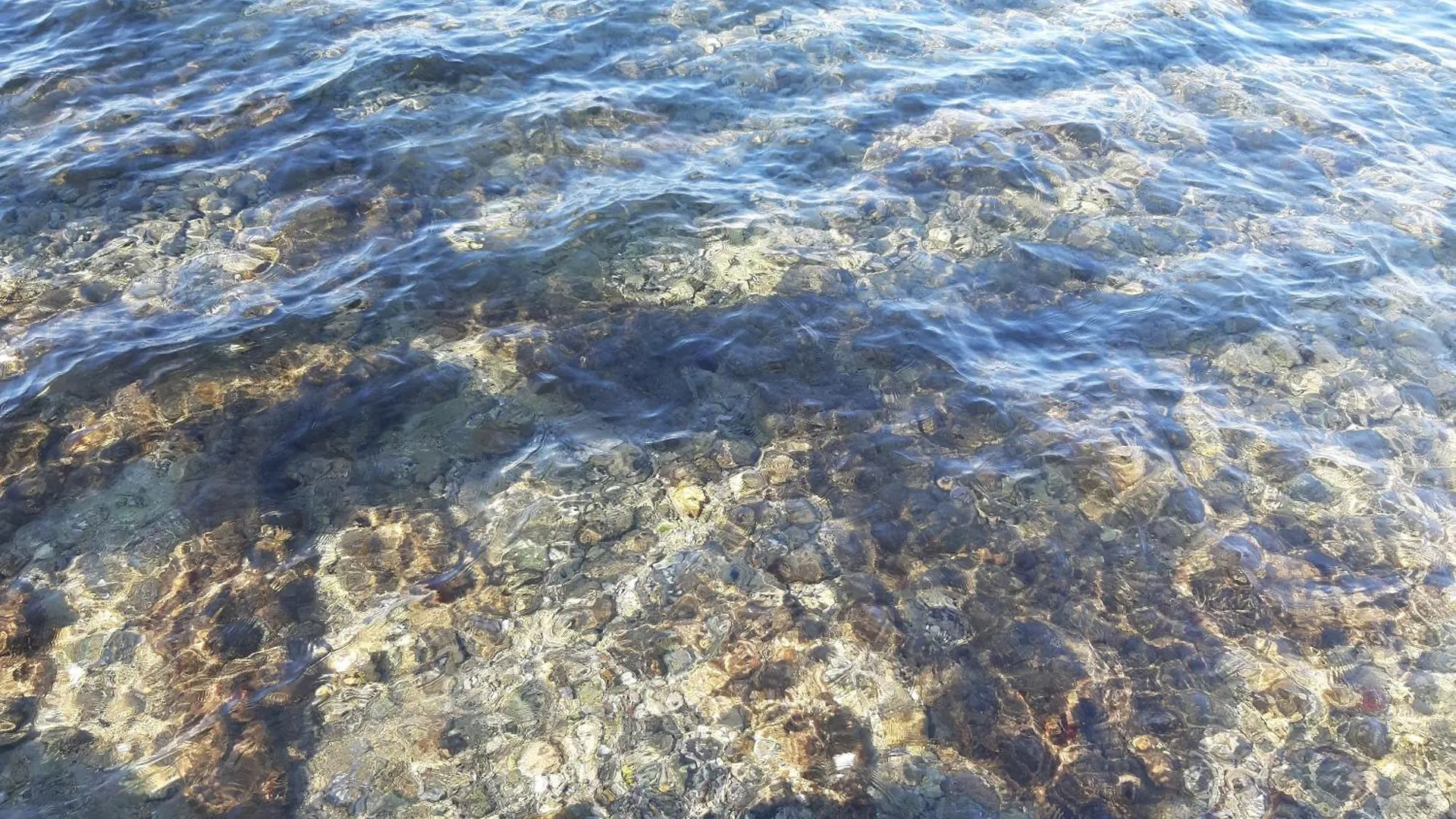 Adria Vrsar Appartement 0*,  Kroatië